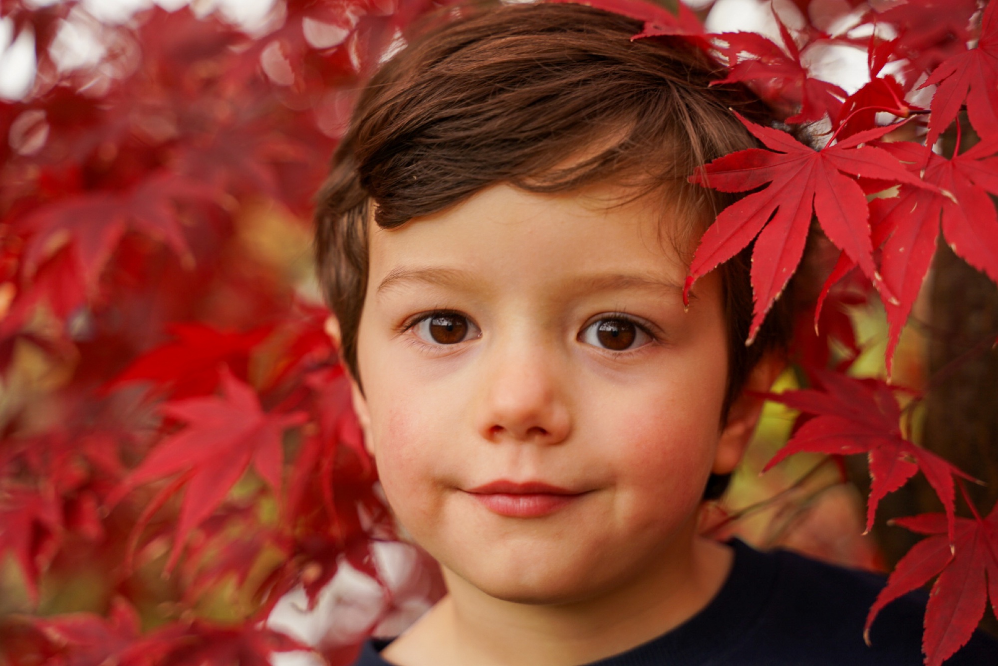 Natural autumn portrait of a young child surrounded by colourful leaves