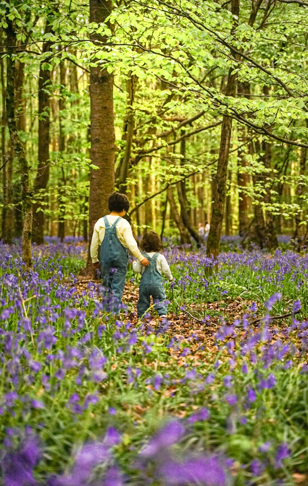 Candid portrait of two children in a Buckinghamshire bluebell wood