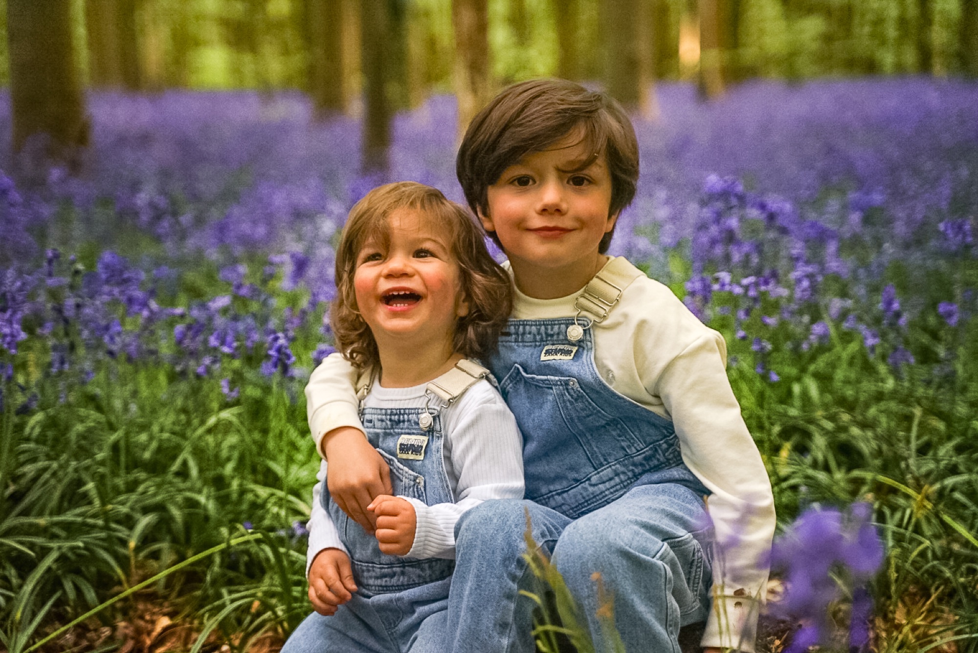 Family walking together through bluebell woods in Buckinghamshire in golden light