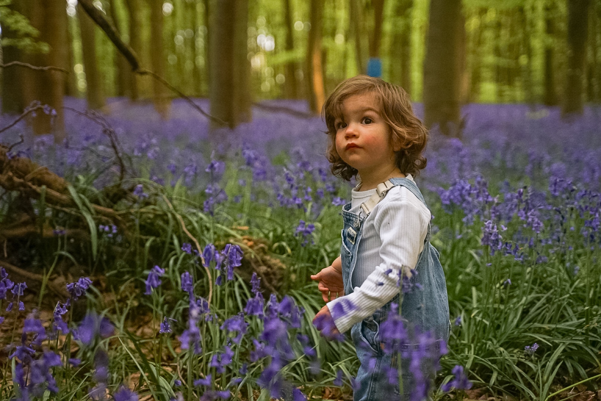 Children sharing a quiet moment in the spring woodland