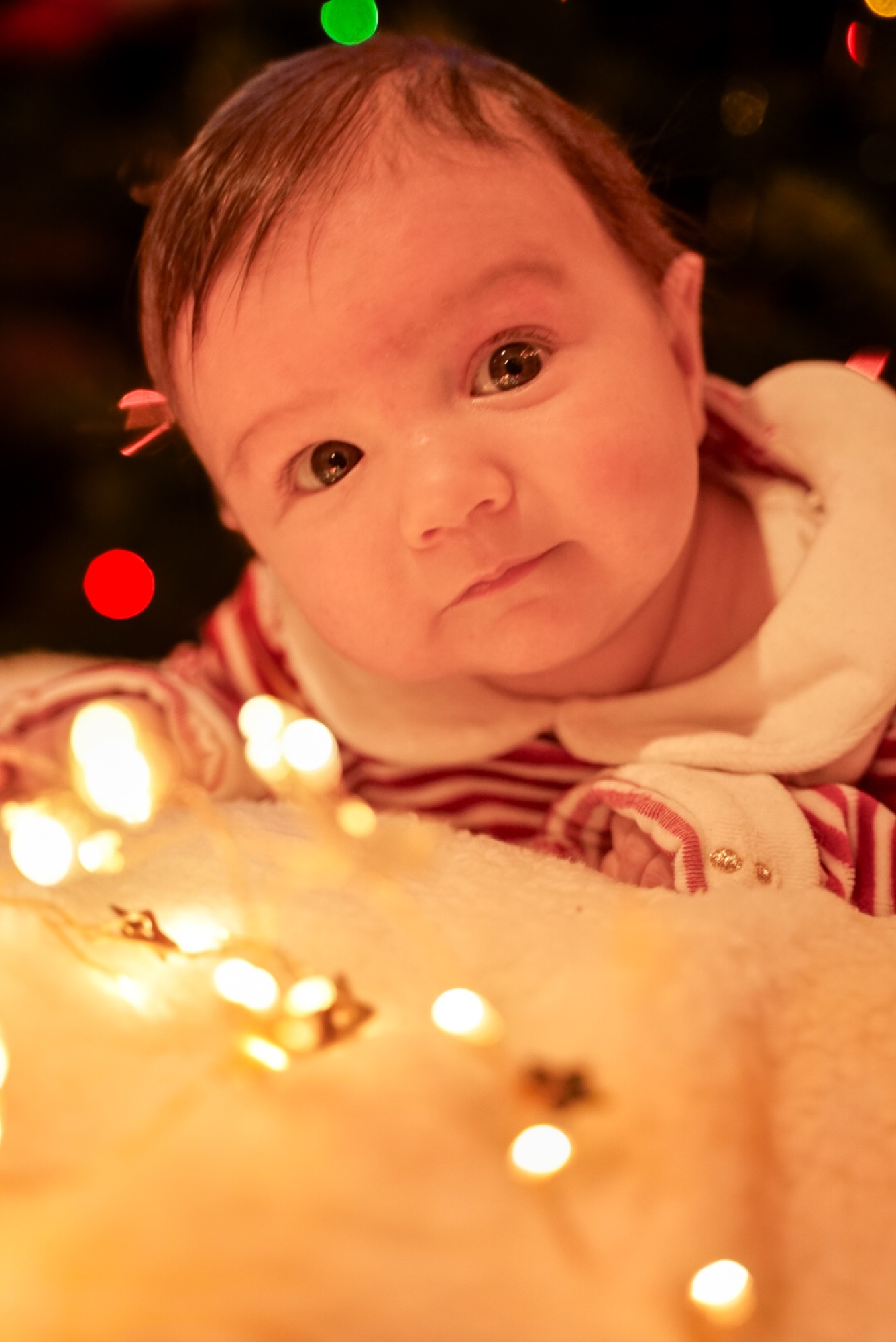 Cosy newborn baby portrait by the Christmas tree